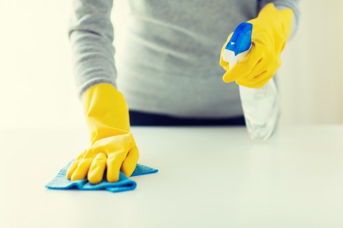 Cleaning common pet stains in a Kentish Town home