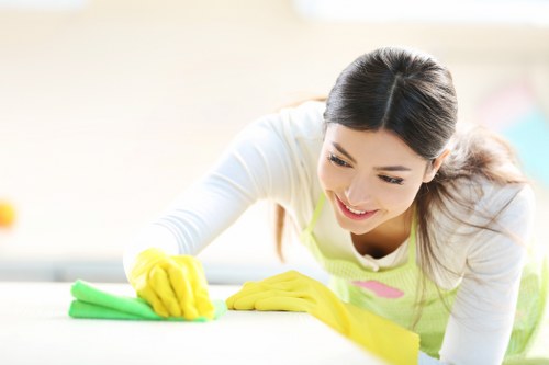 Professional Kentish Town carpet cleaners restoring a home carpet