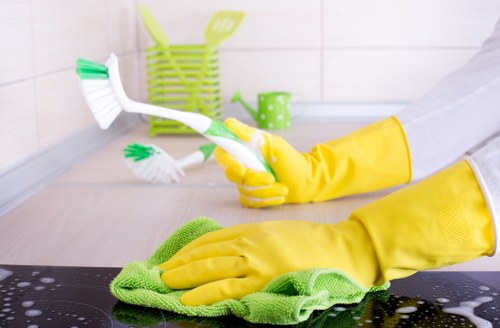 Carpet cleaning service for homes and businesses in Kentish Town