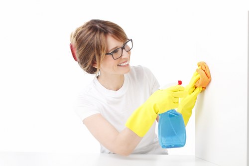 Deep rug cleaning process for homes in Kentish Town