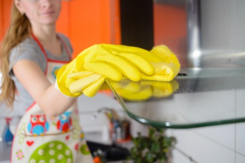 Professional pet odour removal treatment process