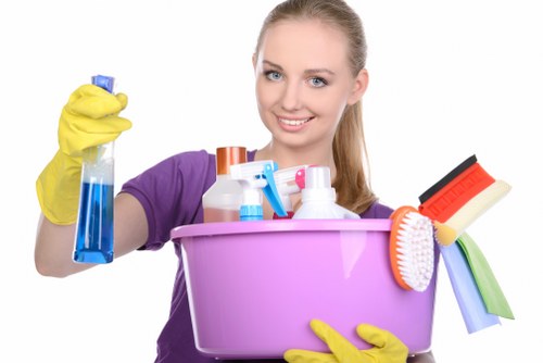 Final review of cleaned carpet area after treatment
