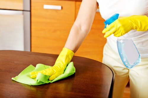 Cleaner restoring carpet freshness in a city property
